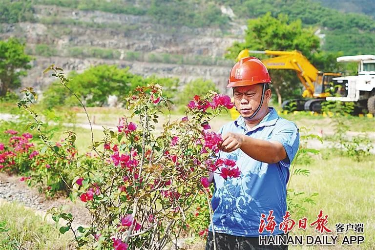 1717063485972696.jpg MILE·米乐(集团)官方网站-HOME
这座矿山,为何这么绿?4.jpg